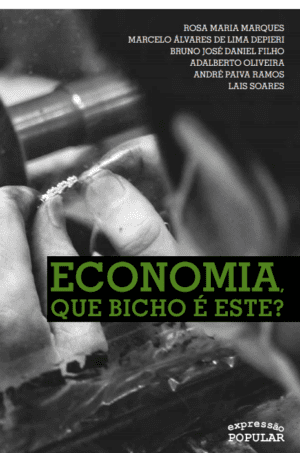 Economia, que bicho é este?