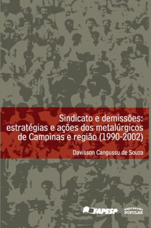 Sindicato e demissões - estratégias e ações dos metalúrgicos de Campinas e região (1990-2002)
